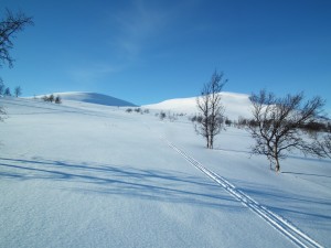 Kilpisjärvi skiing review