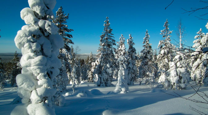 Bloggers Guide To Arctic Finland